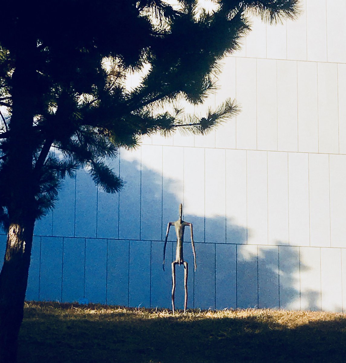 神奈川県立近代美術館葉山