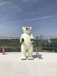 富山県美術館　三沢厚彦作品設置（2017年）_野外アートワーク