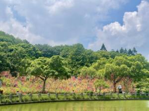 桃園ランドアートフェスティバル　鬼頭健吾（台湾・桃園、2024年）_野外アートワーク